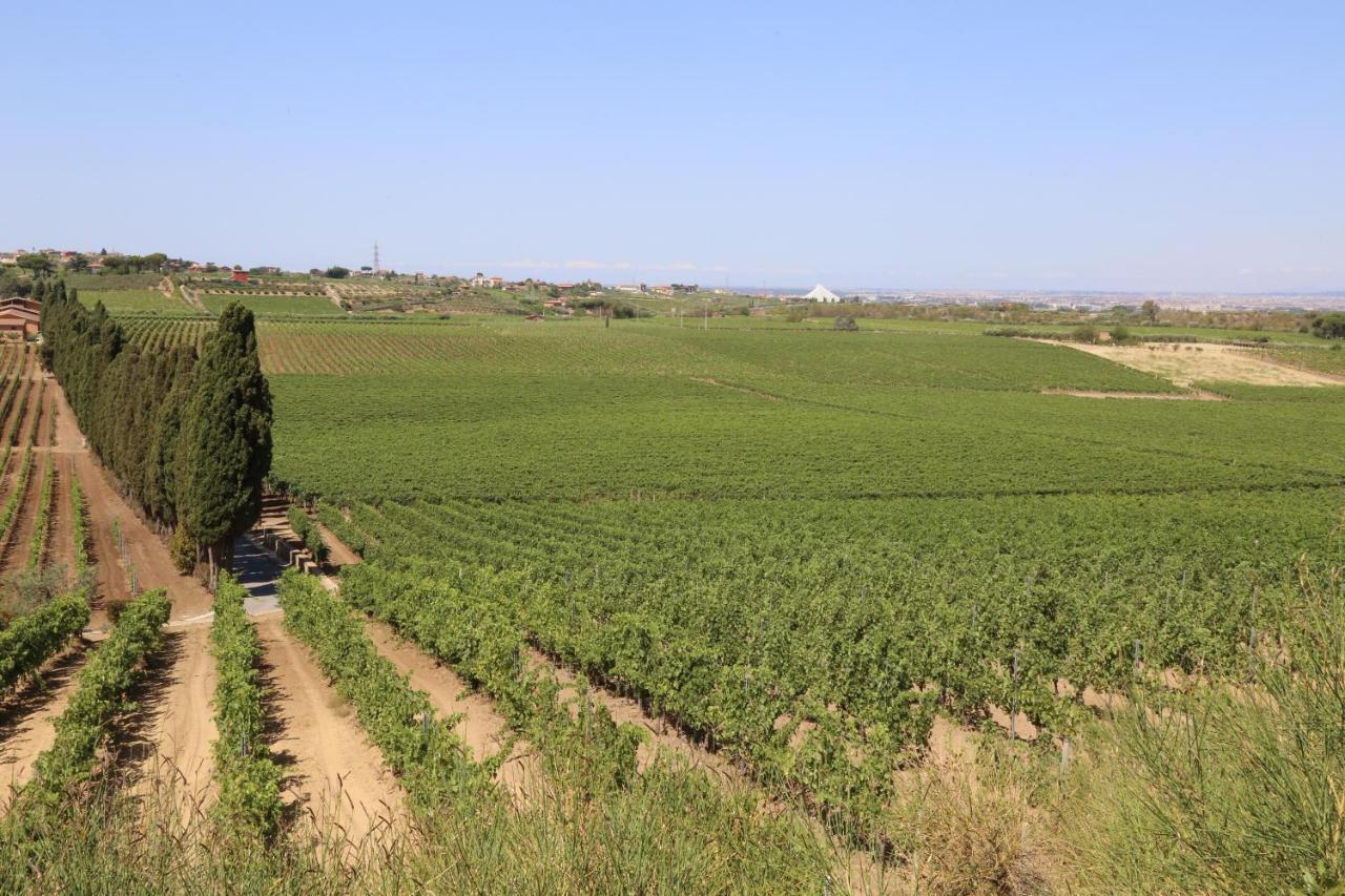 Tenuta Di Pietra Porzia Monte Porzio Catone Extérieur photo