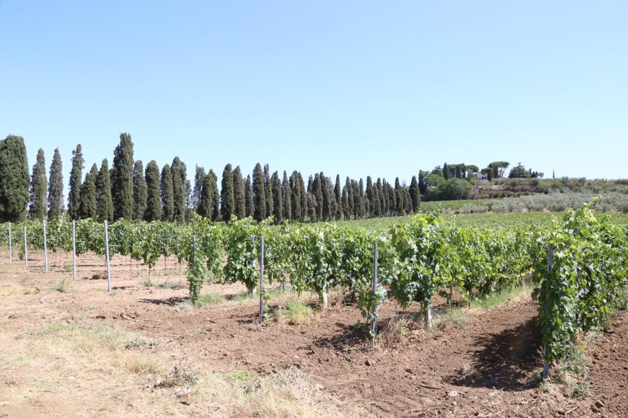 Tenuta Di Pietra Porzia Monte Porzio Catone Extérieur photo